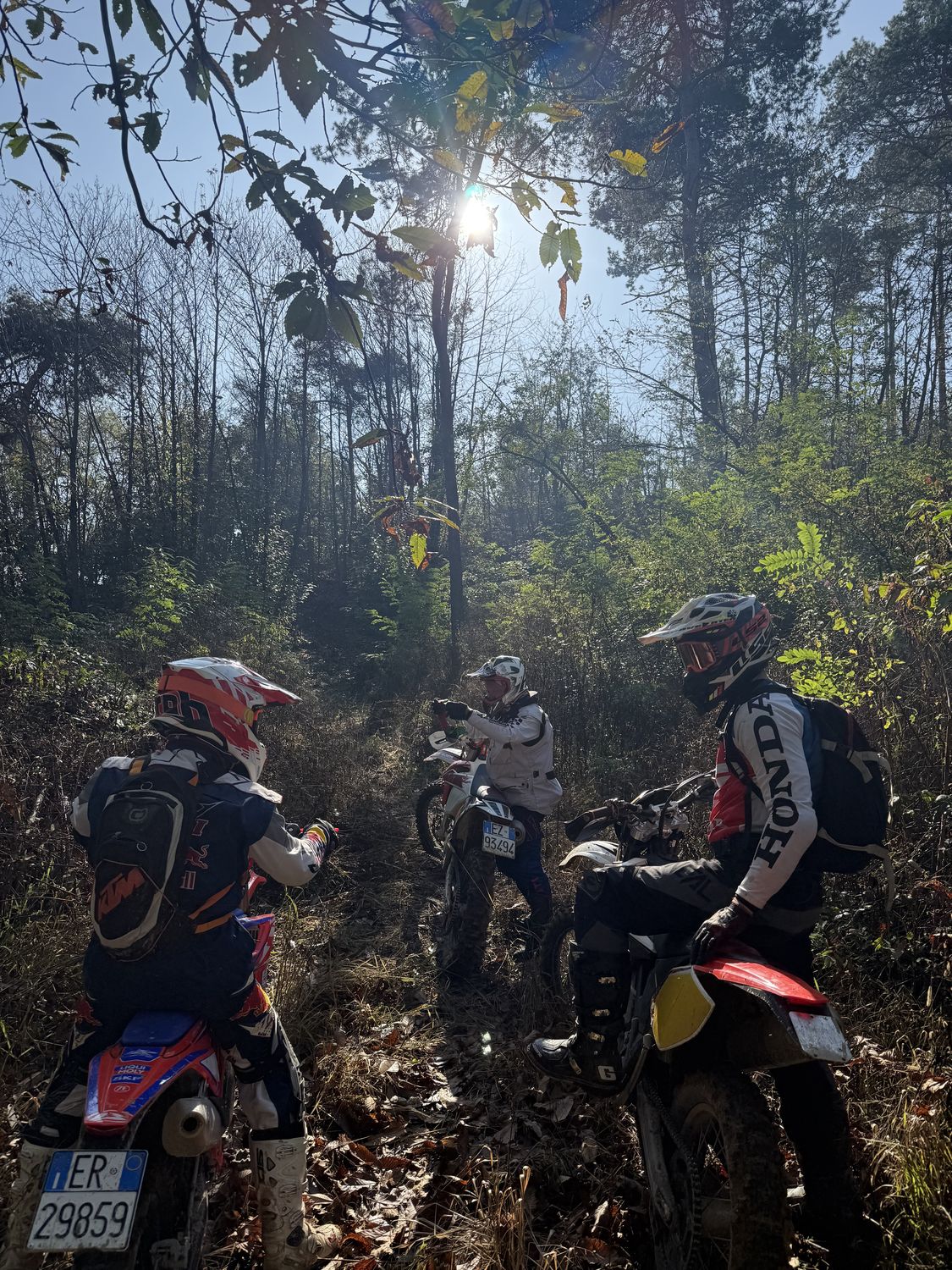 Gruppo nel bosco in controluce